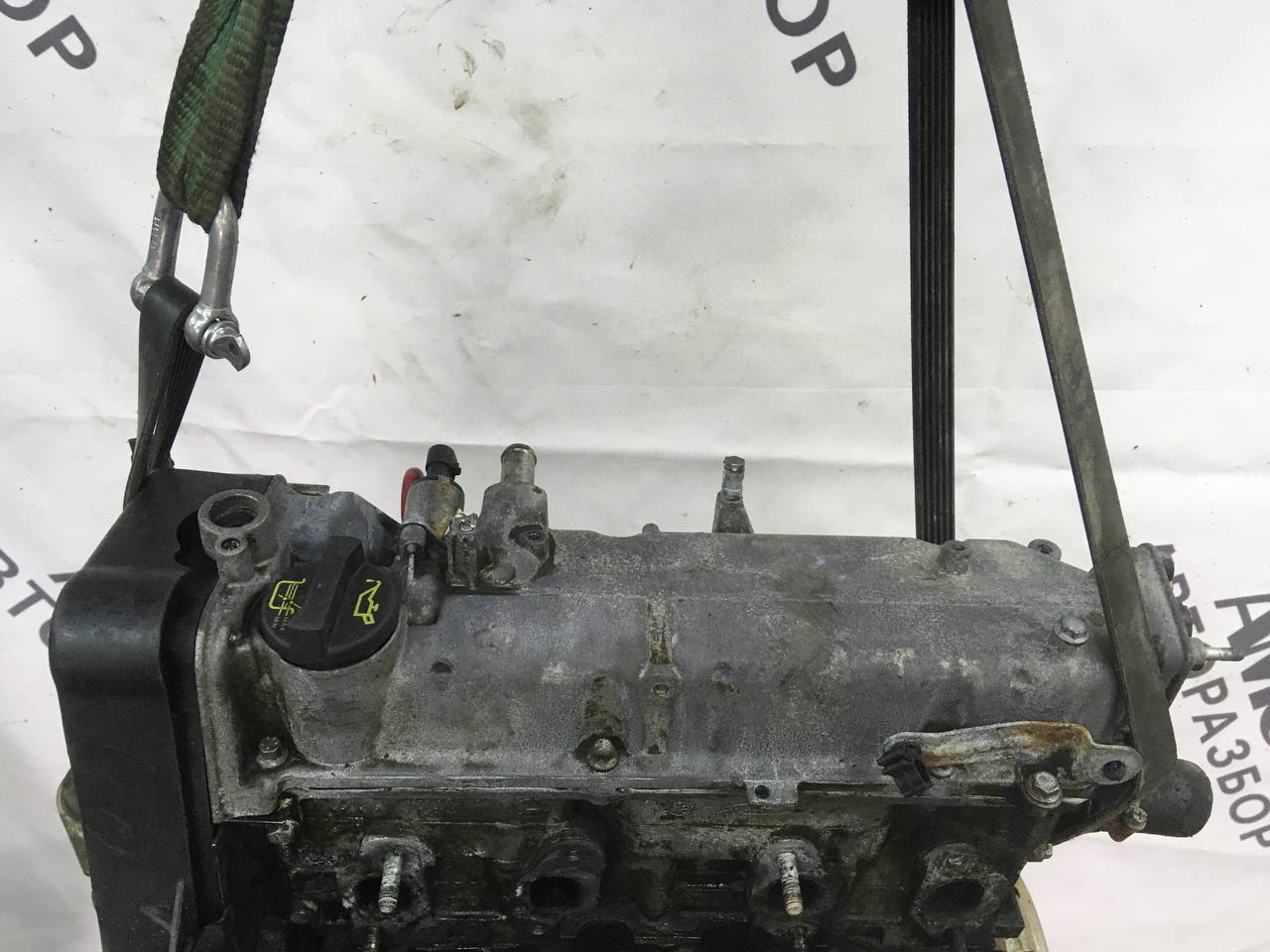 Двигатель Fiat Albea 2002-2012