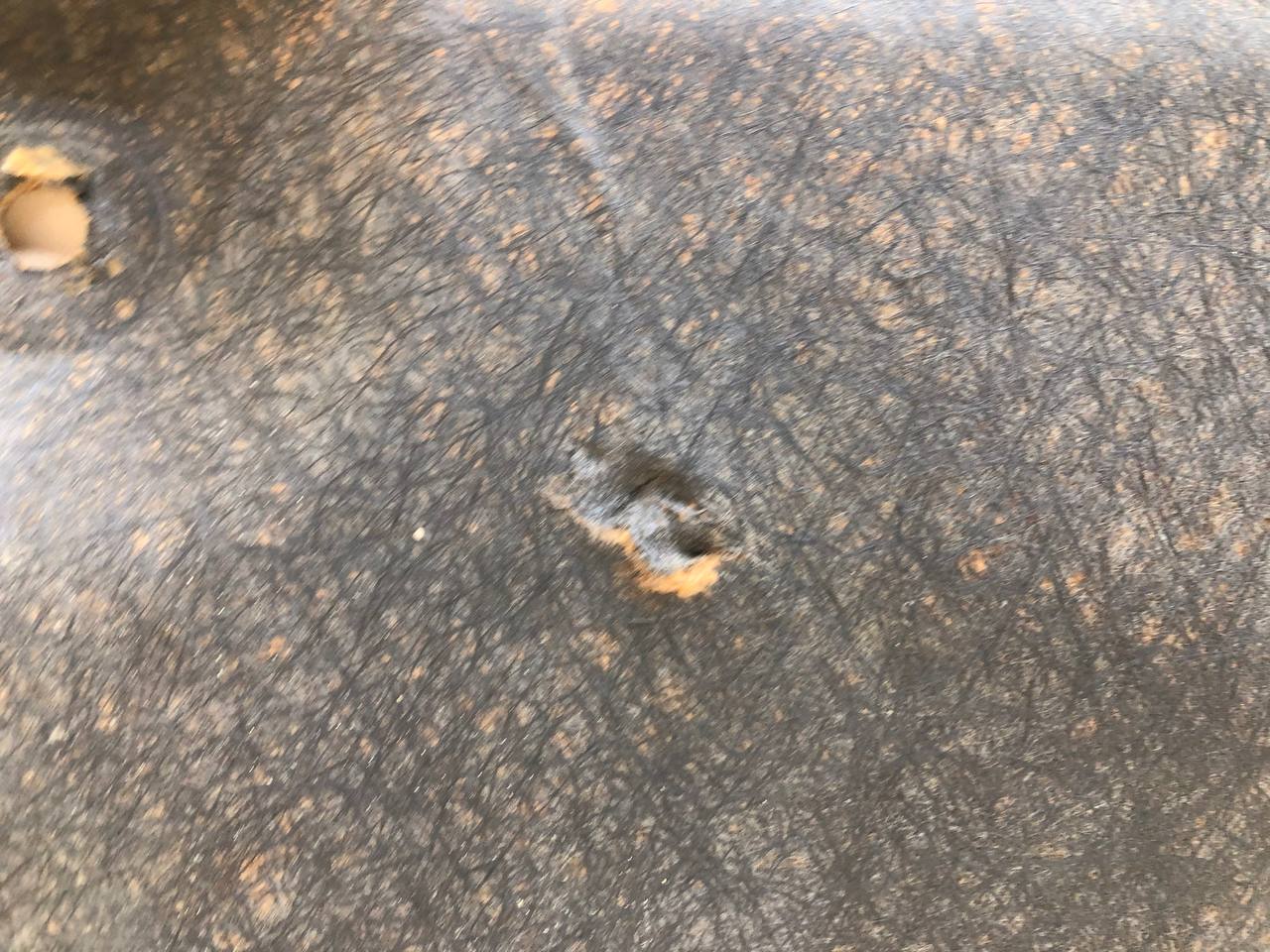 Шумоизоляция капота Toyota Rav 4 (XA40) 2013-2019