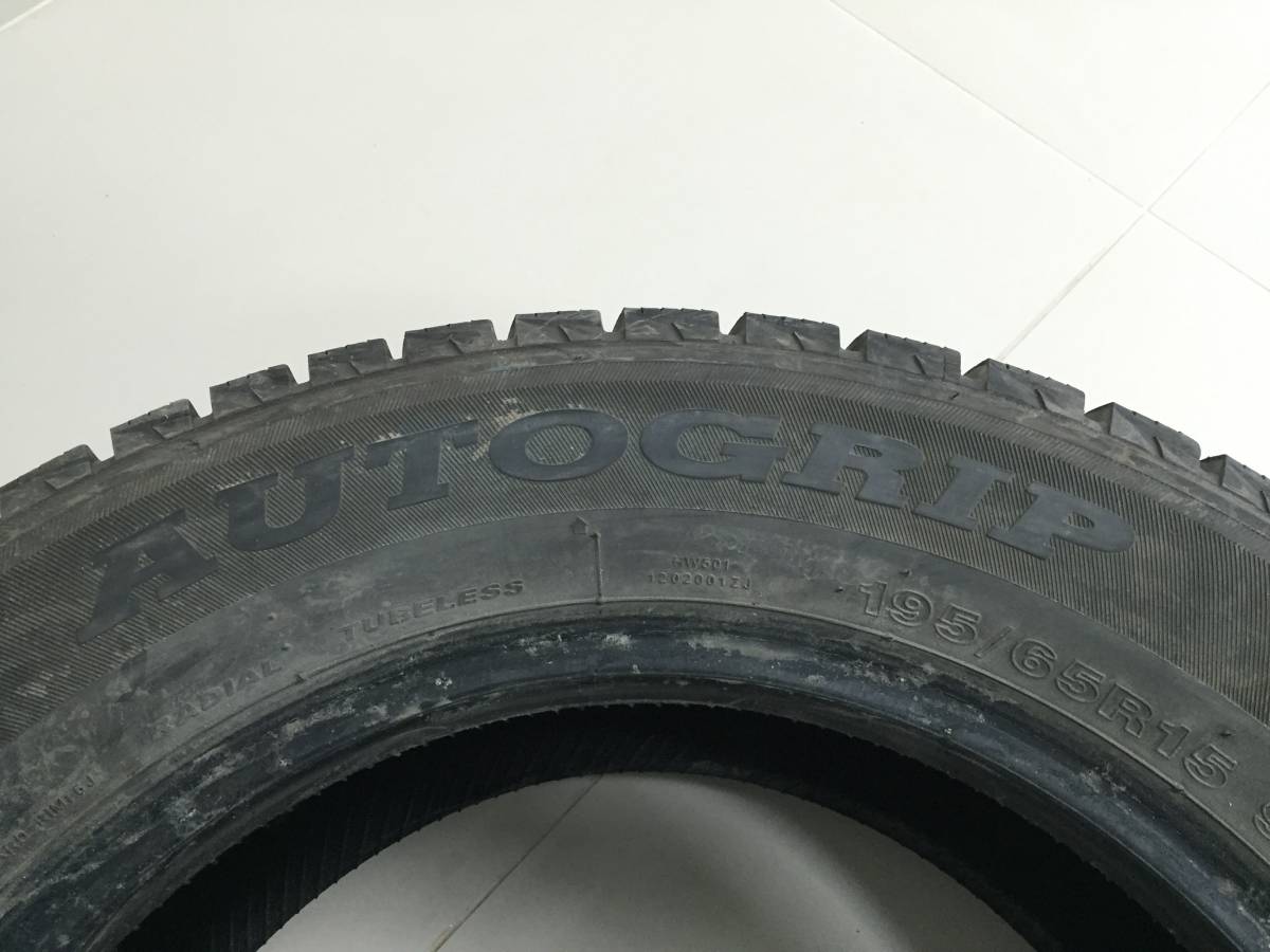 Шины R15 Зимние шипованные AUTOGRIP ECOWINTER