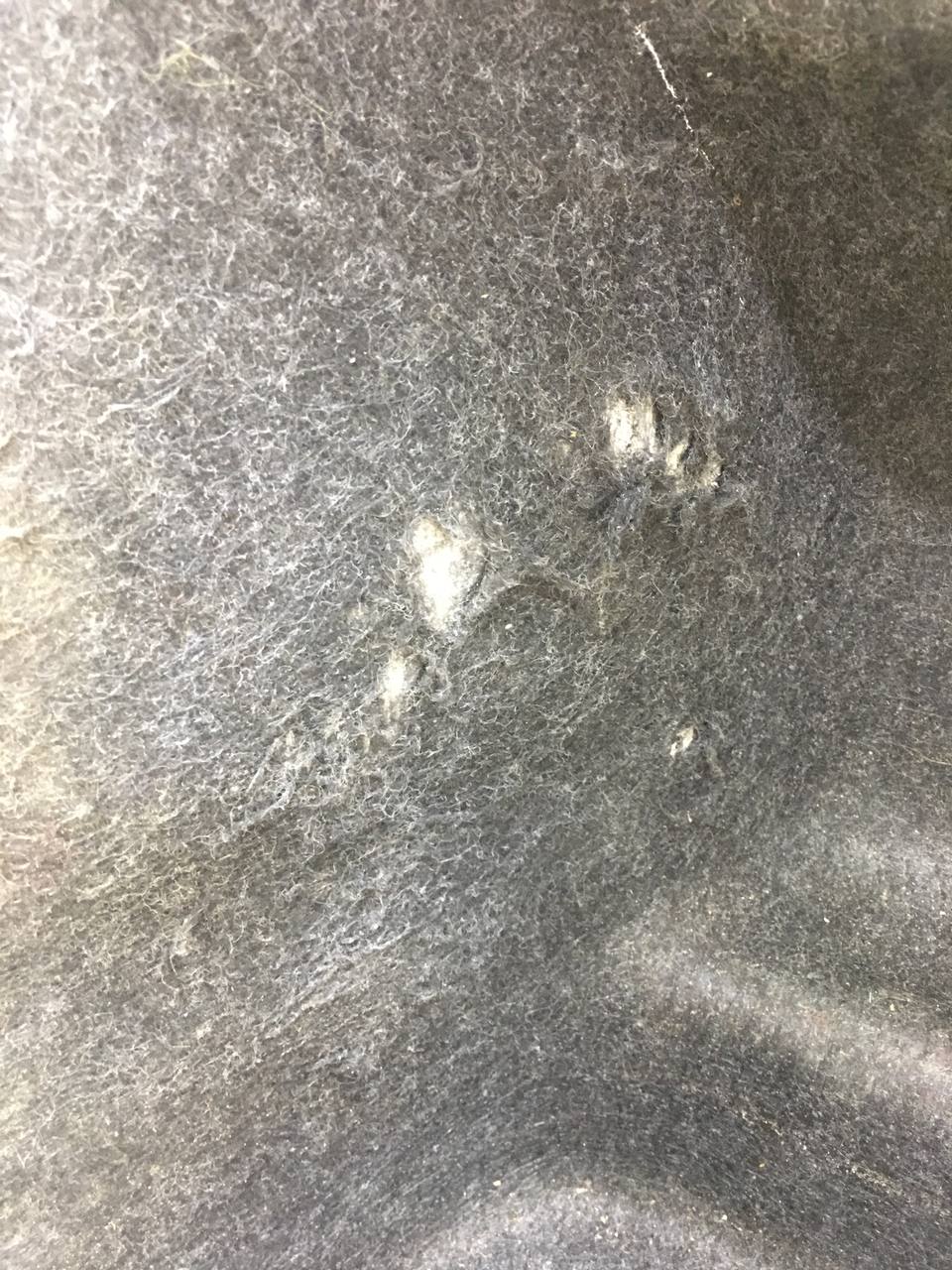 Обшивка багажника Honda Civic 4D 2006-2012