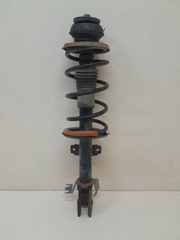 Амортизатор передний Renault Duster (HSA, HSM) 2012>