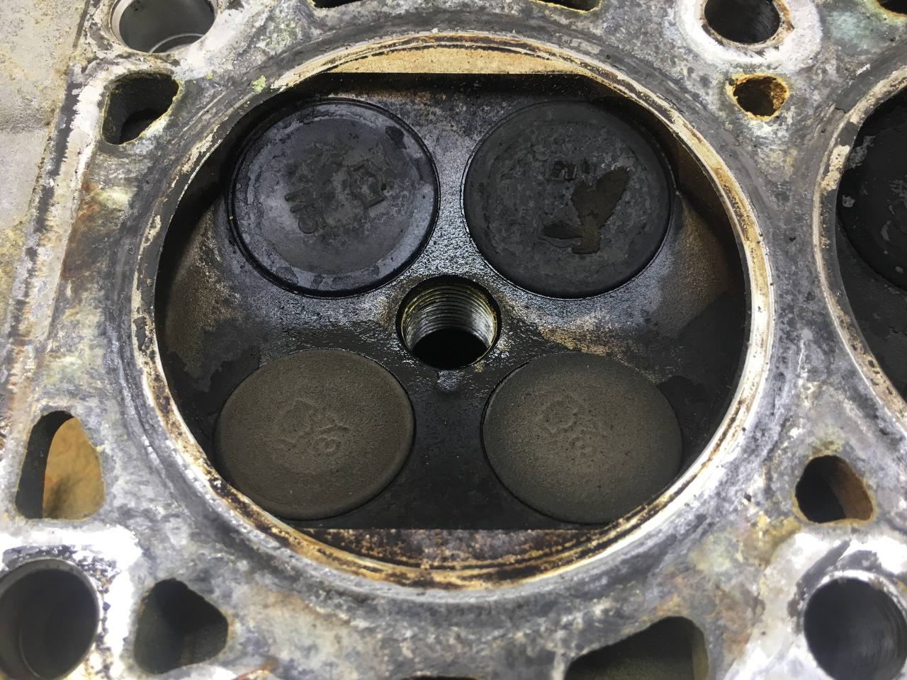 Головка блока цилиндров Nissan Almera (N16) 2000-2006