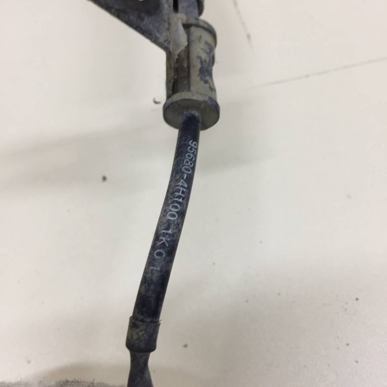 Датчик ABS задний левый Hyundai Starex H1/Grand Starex 2007>