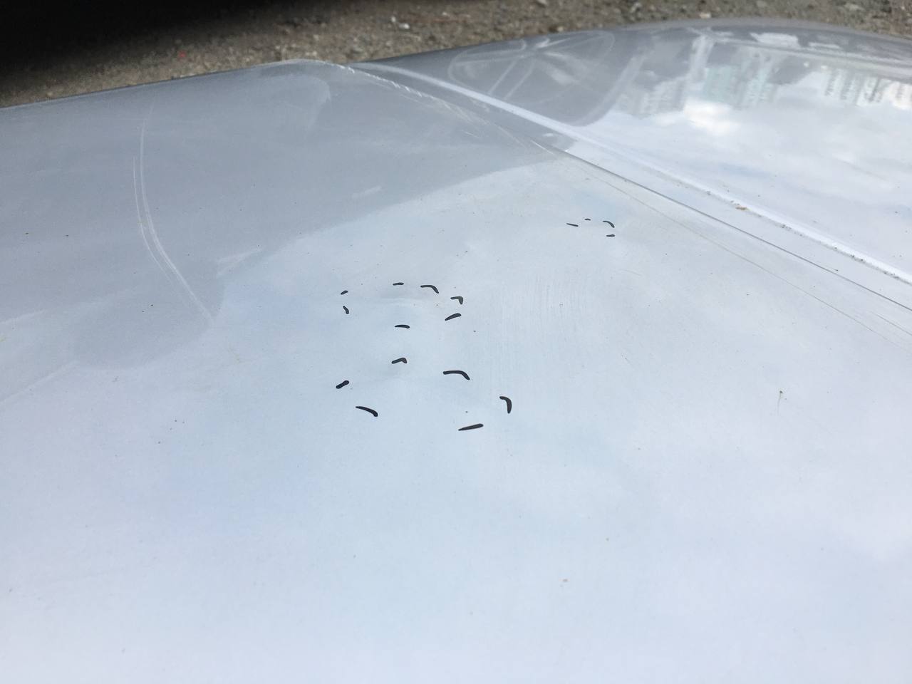 Крыша Lada Niva 2131 1993>