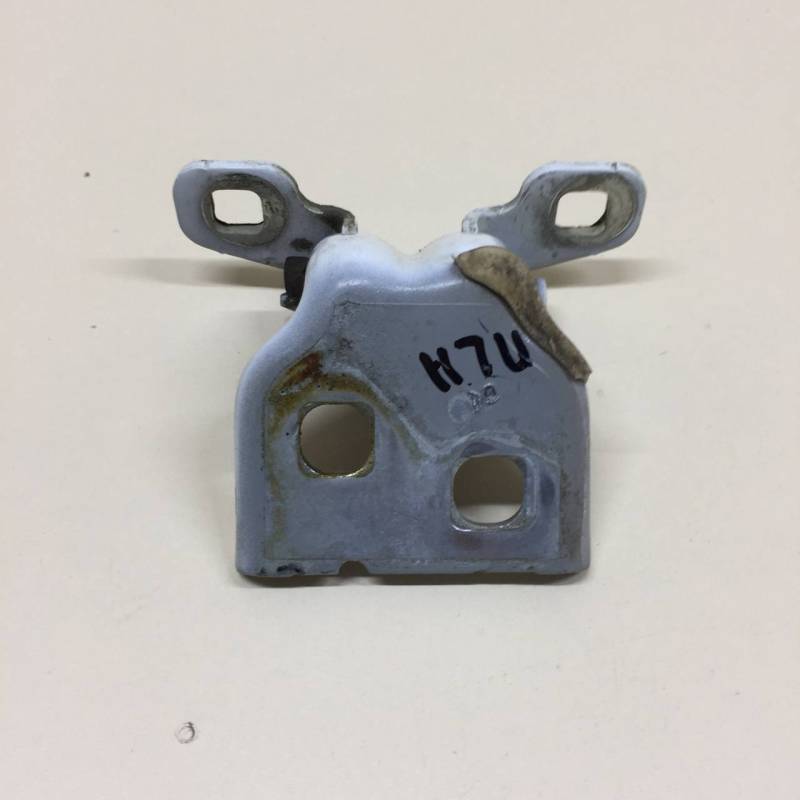 Петля двери задней левой нижняя Renault Duster (HSA, HSM) 2012>