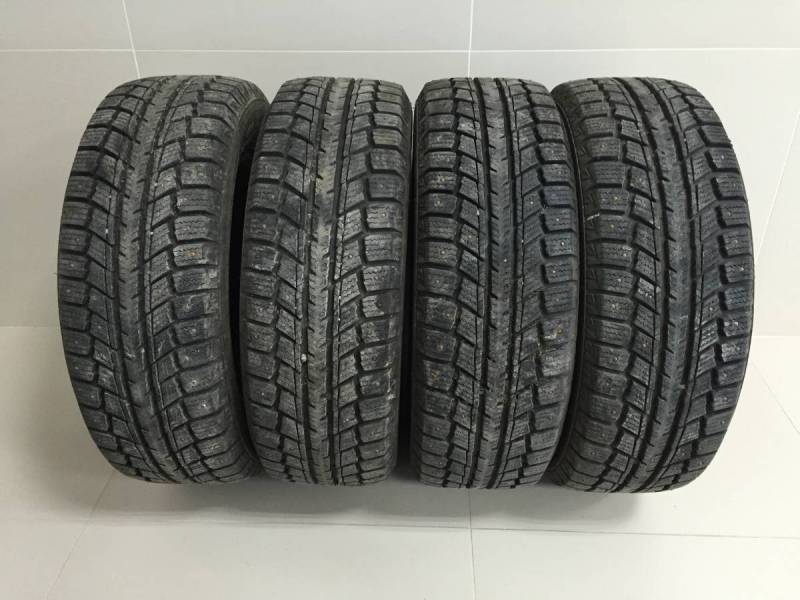 Шины R15 Зимние шипованные AUTOGRIP ECOWINTER