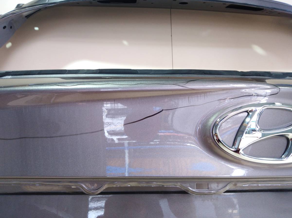 Дверь багажника Hyundai Santa Fe (TM) 2018-2022