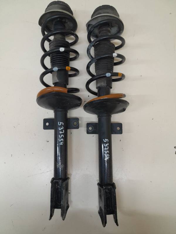 Амортизатор задний Renault Duster (HSA, HSM) 2012> Амортизатор задний Renault Duster (HSA, HSM) 2012>