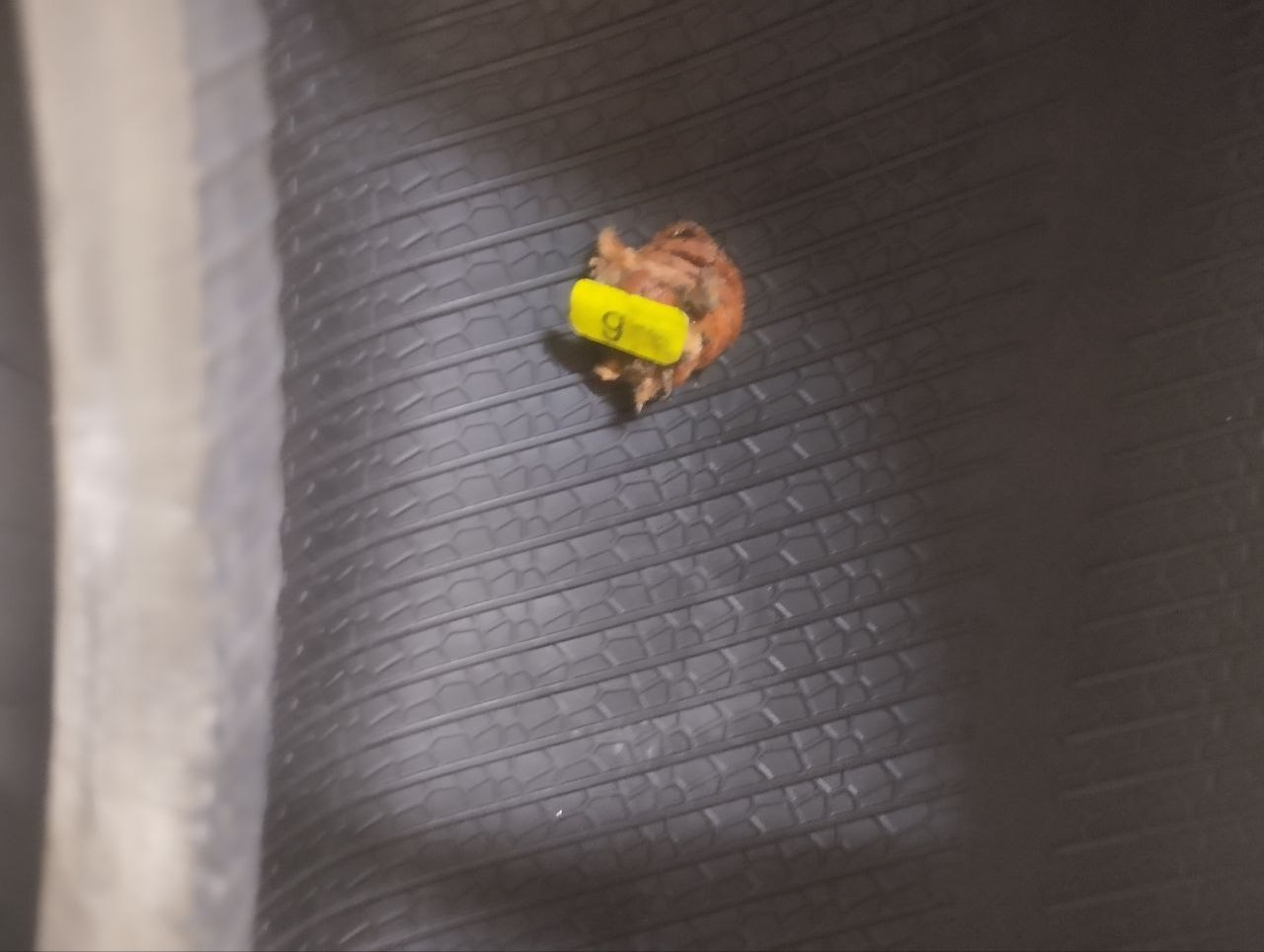 Шины R16 Летние CORDIANT ALL TERRAIN