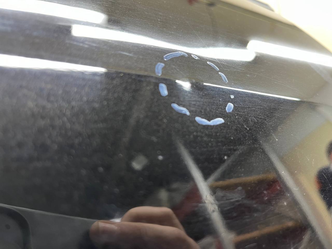 Дверь задняя правая Nissan Primera (P12) 2002-2007