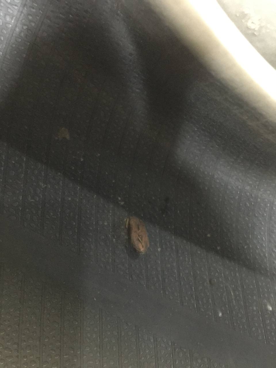 Шины R18 Летние Giti Comfort F50