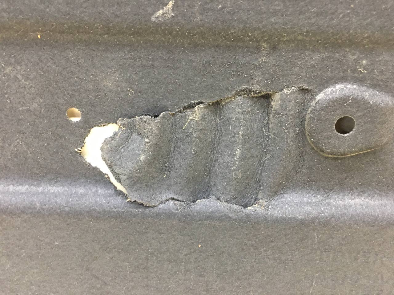 Защита антигравийная Hyundai Elantra (CN7) 2020>